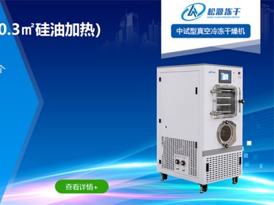 LGJ-20F普通型（0.3㎡硅油加热）